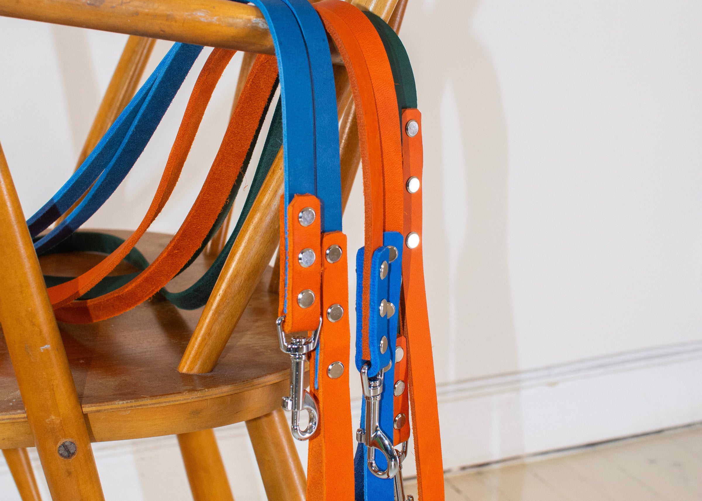 Leather Leashes