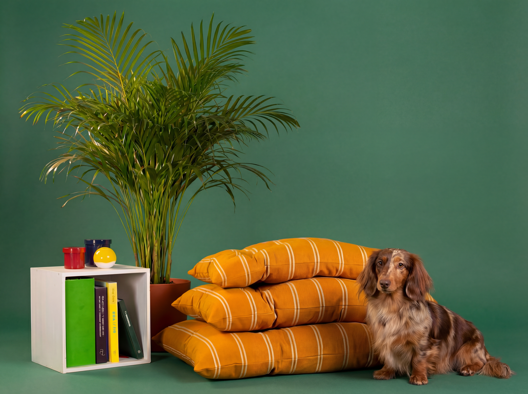 Striped Cotton Dog Bed