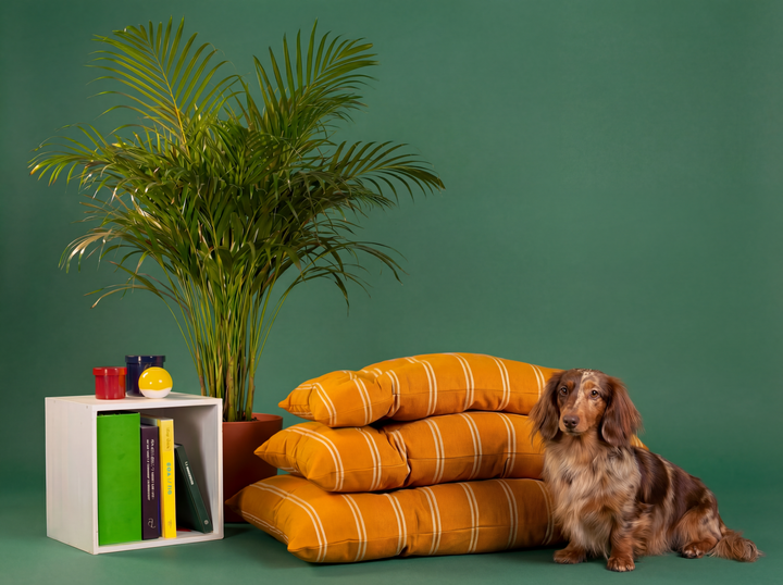 Striped Cotton Dog Bed