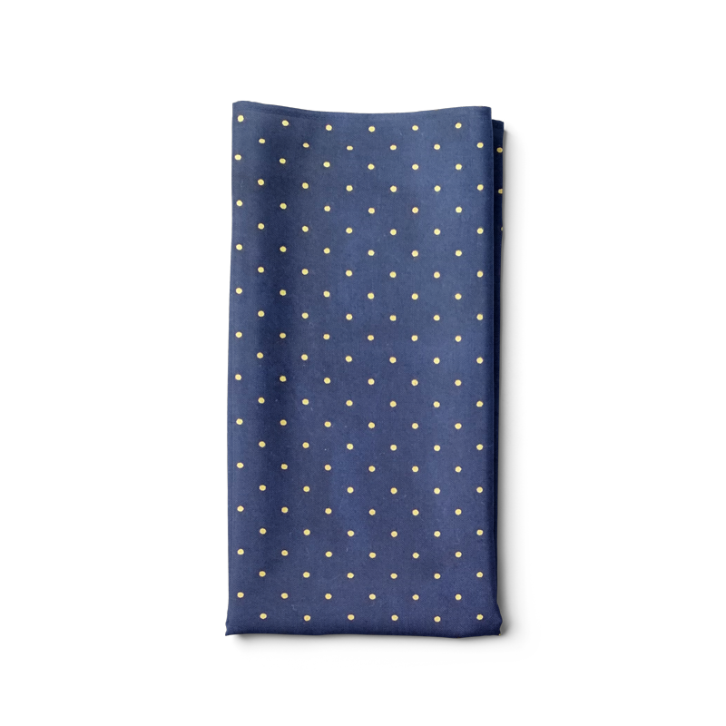 Golden dots blue bandana
