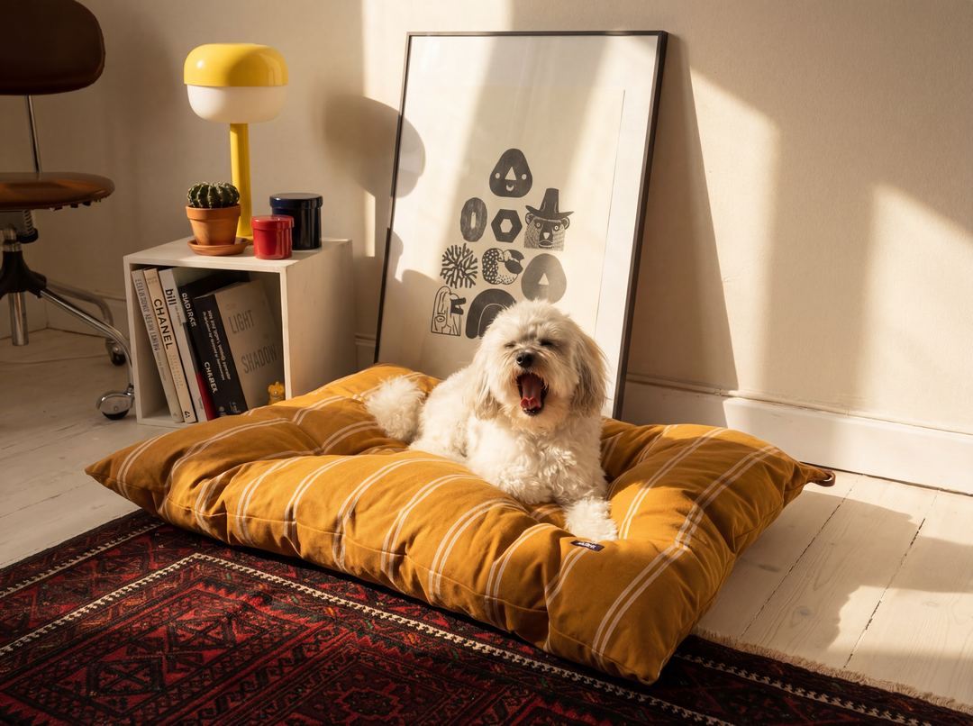 Striped Cotton Dog Bed