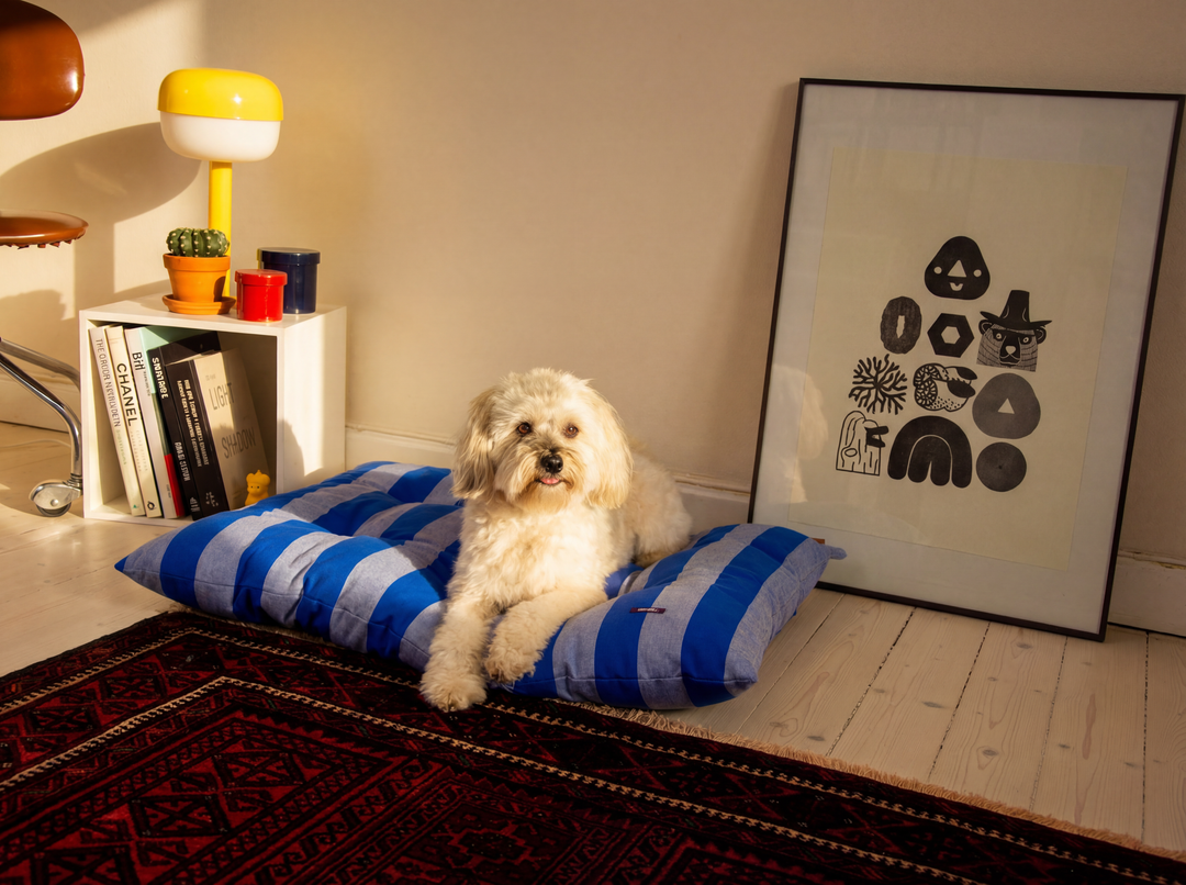 Striped Cotton Dog Bed - The Harbor