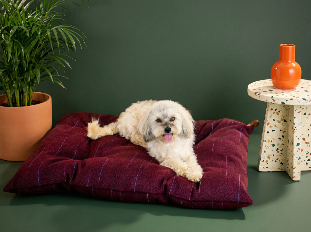 Purple wool dog bed
