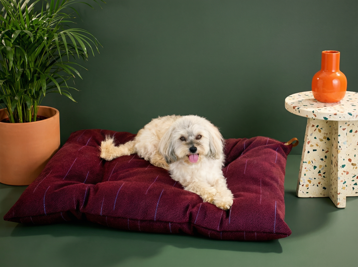 Purple wool dog bed