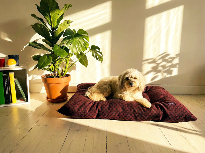 Checkered Wool Dog Bed