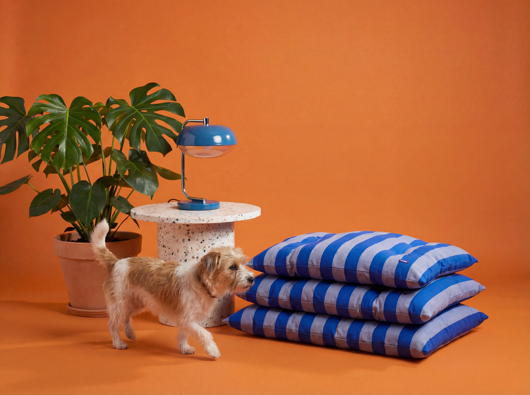 Striped Cotton Dog Bed - The Harbor