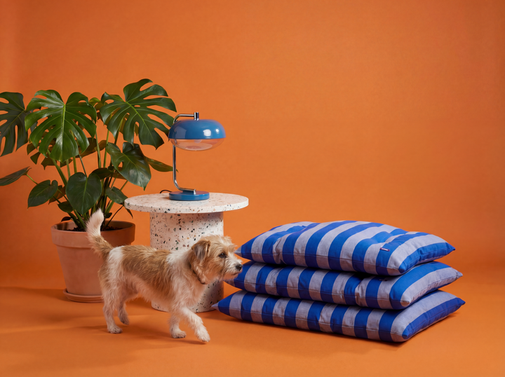 Striped Cotton Dog Bed - The Harbor