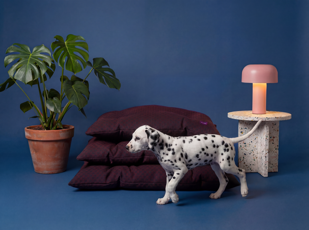 Checkered Wool Dog Bed