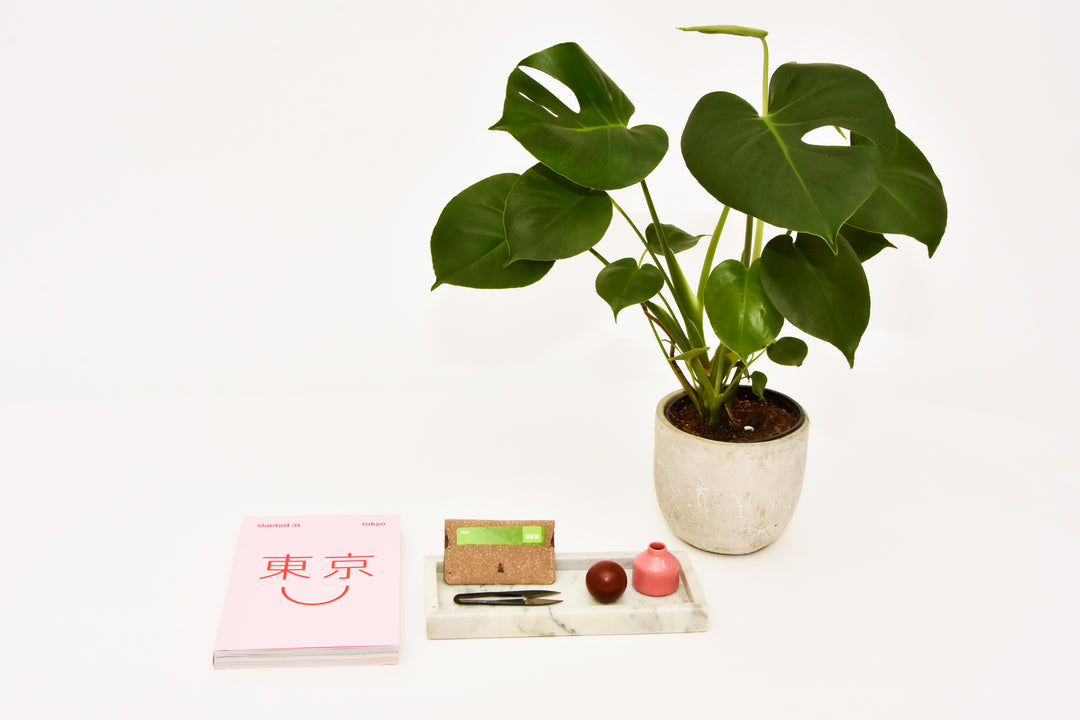Beige leather wallet, model A, by Rebel Dog Club