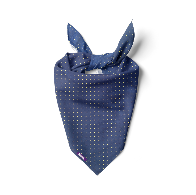 Golden dots blue bandana