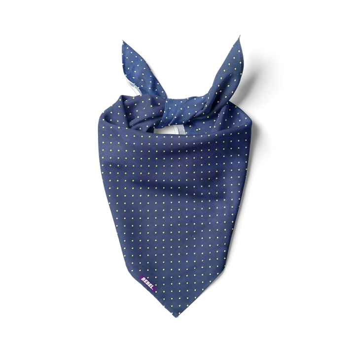 Golden dots blue bandana
